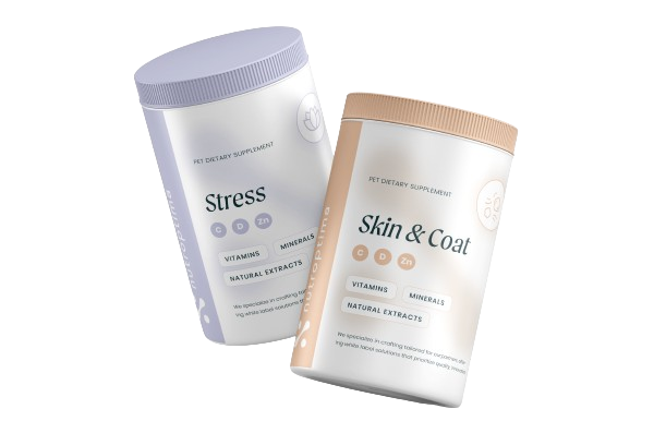 stress and skin